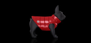 Moncler Mondog