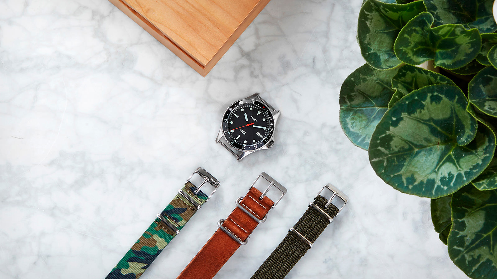 timex end