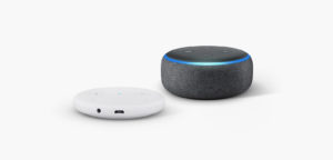 Amazon Echo Dot & Echo Input