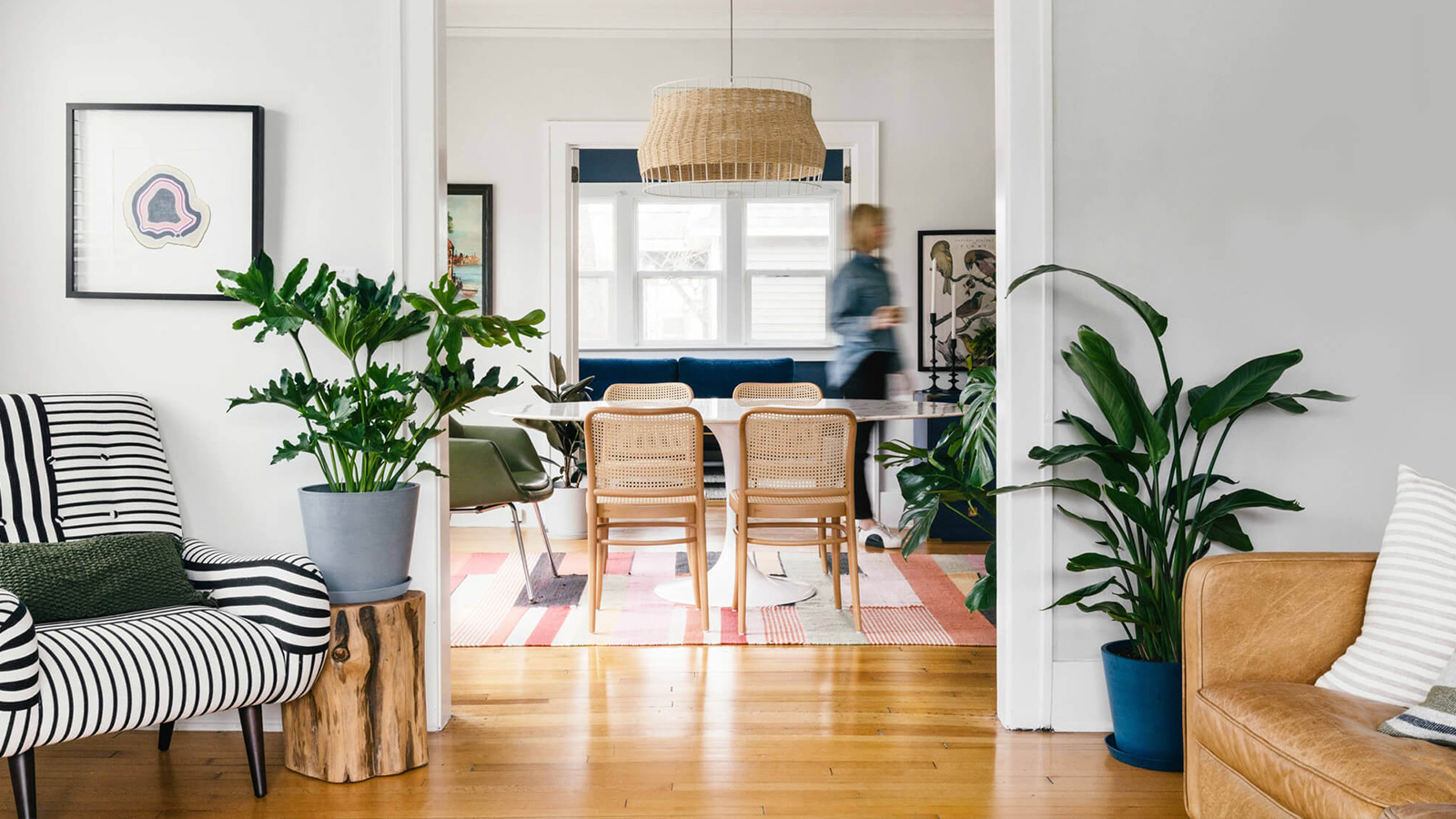 Plant Like a Pro: Your Guide to Indoor Planting - IMBOLDN