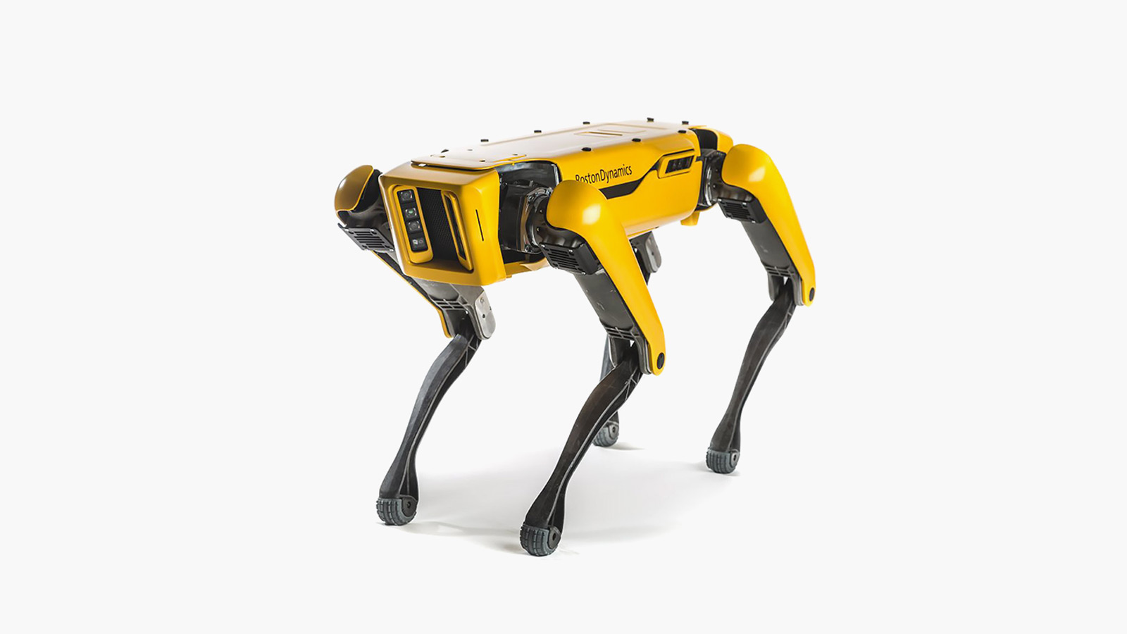 Boston Dynamics Robot Dog Spot