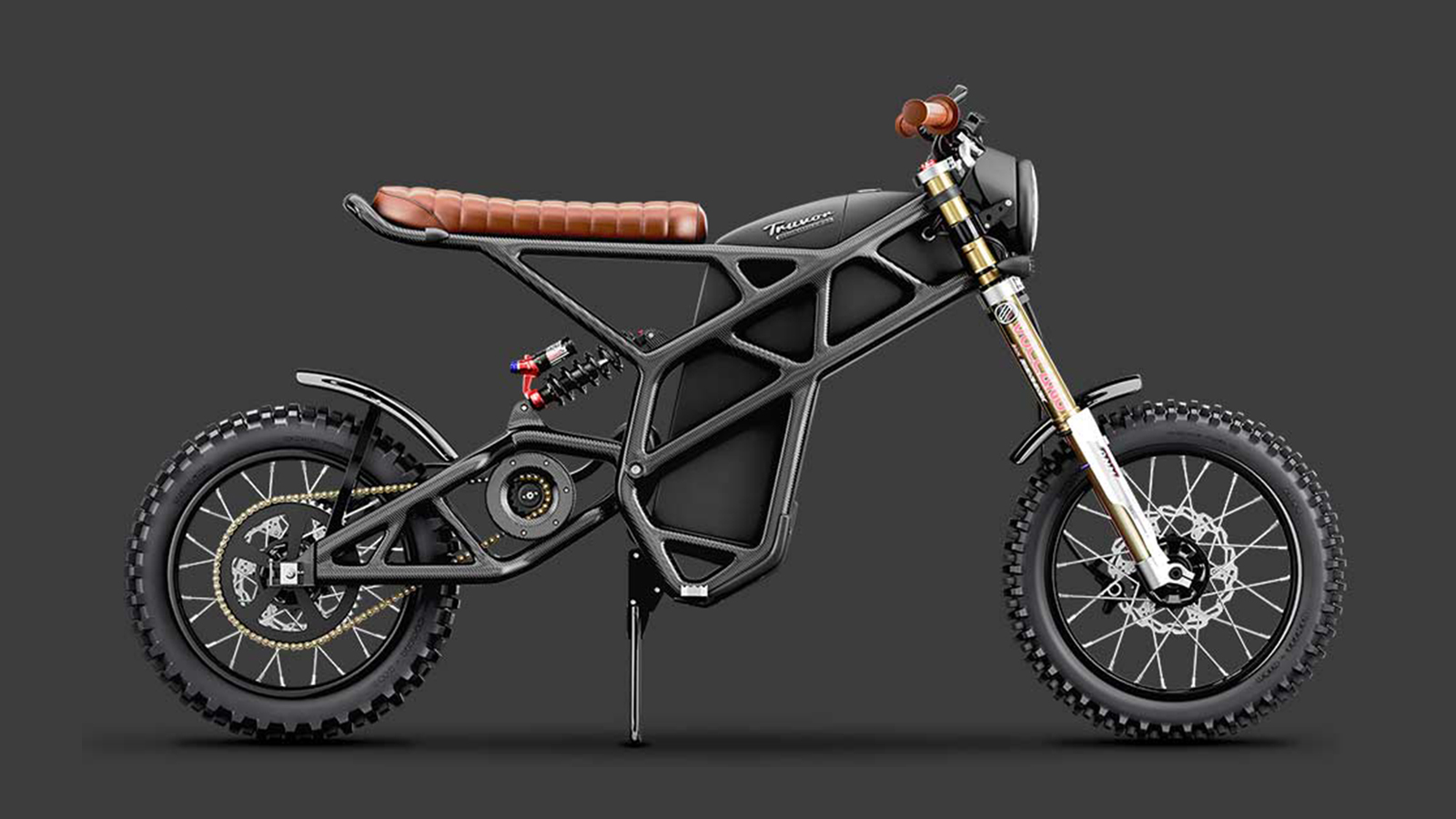 denzel electric bike