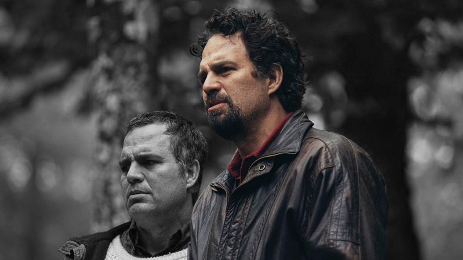Mark Ruffalo Eyed to Star in ‘Parasite’ Series on HBO