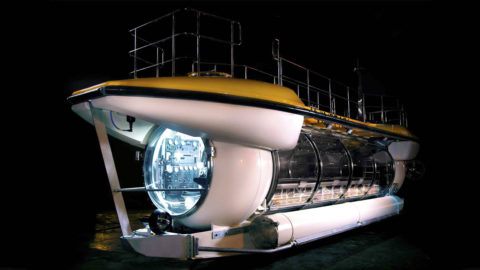 Triton DeepView 24