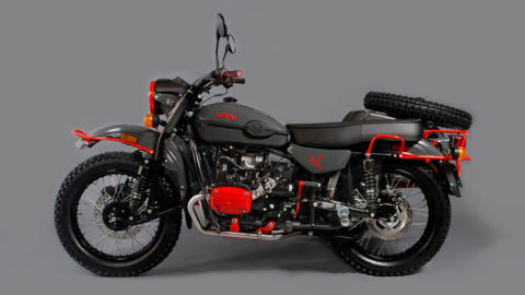 Ural Red Sparrow