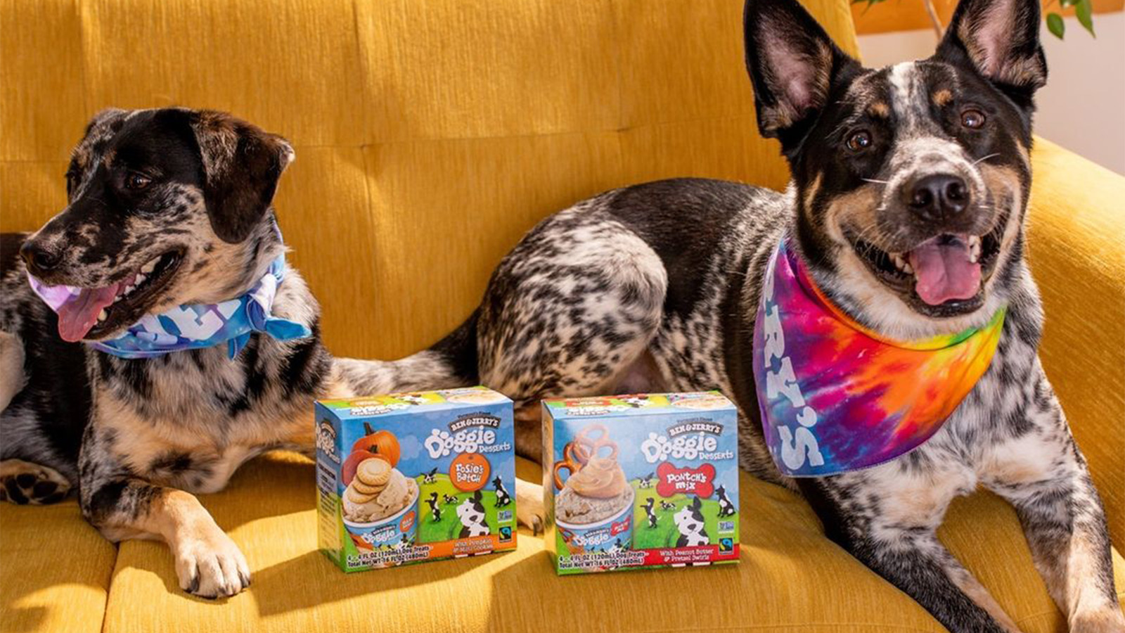 Ben and Jerry’s Doggie Desserts