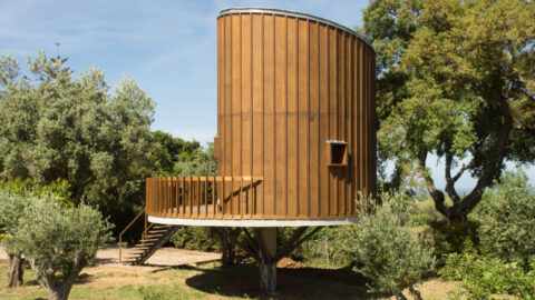 Tree House by RA+TR arquitectos