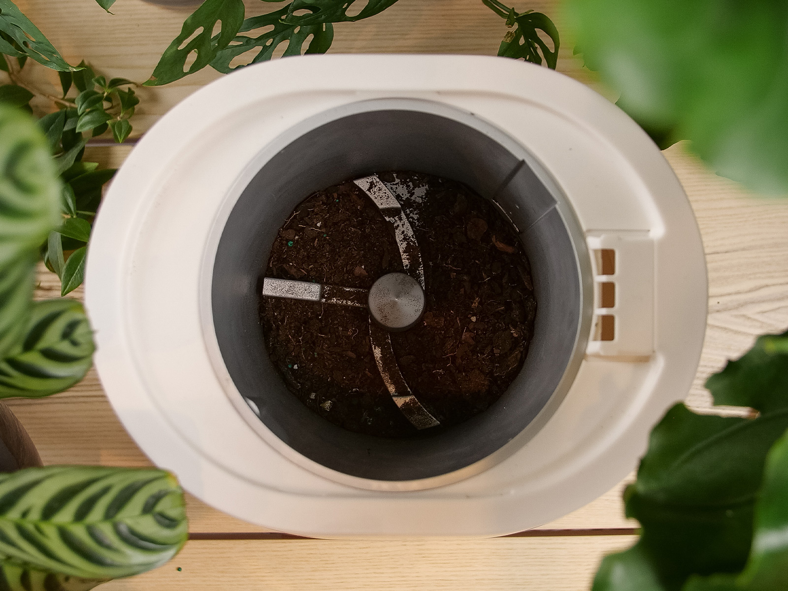 Pela Launches Lomi, A Device That Converts Household Waste Into NutrientRich Compost IMBOLDN