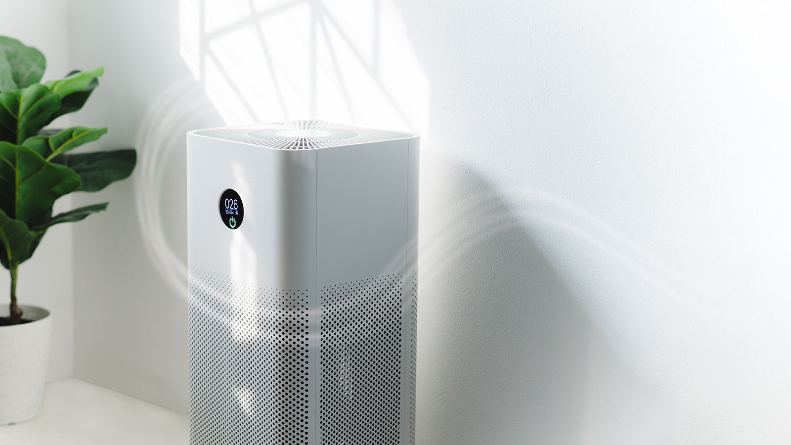 Breathe Easy With The Best Air Purifiers Of 2023