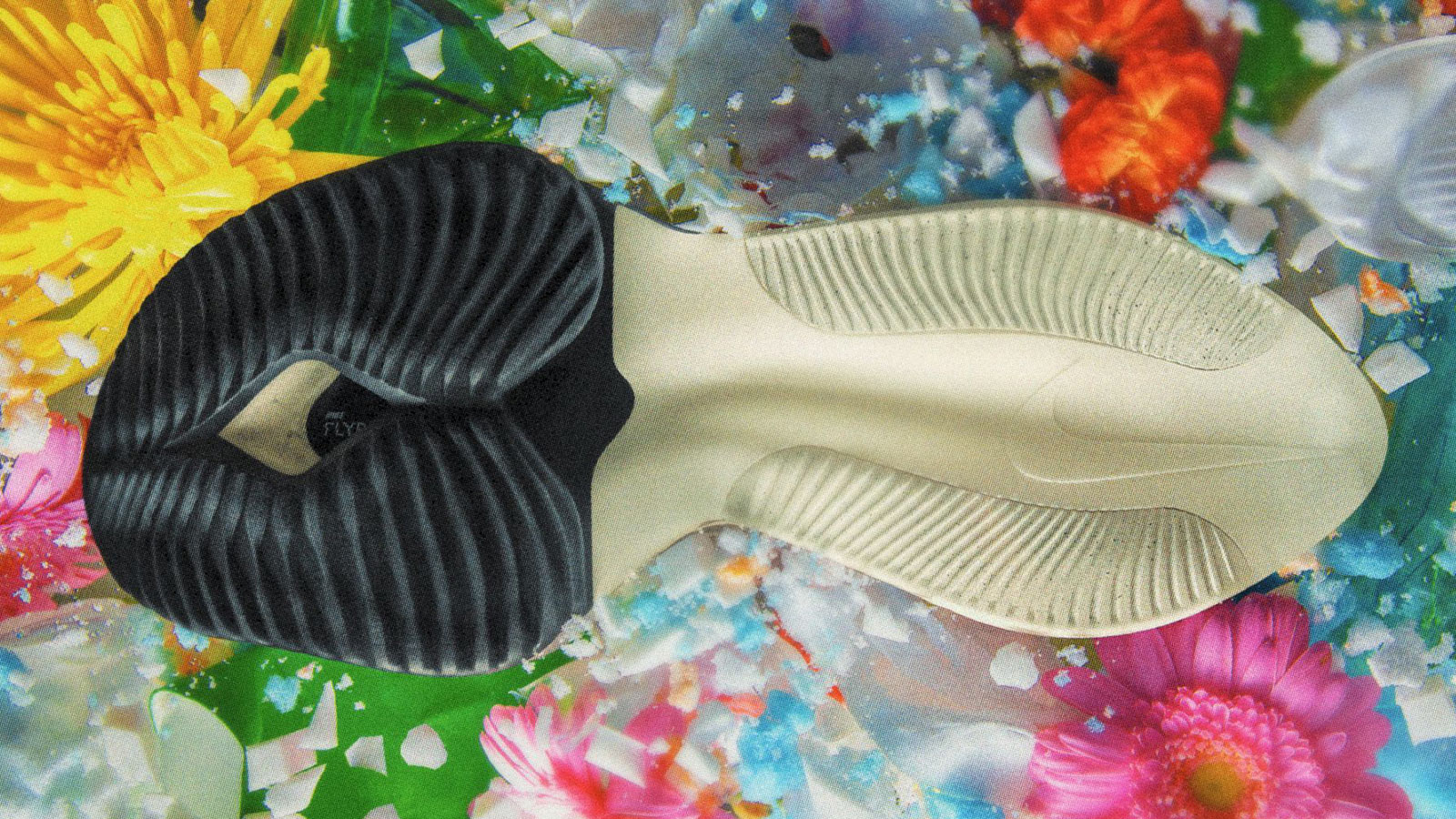 alphafly nature
