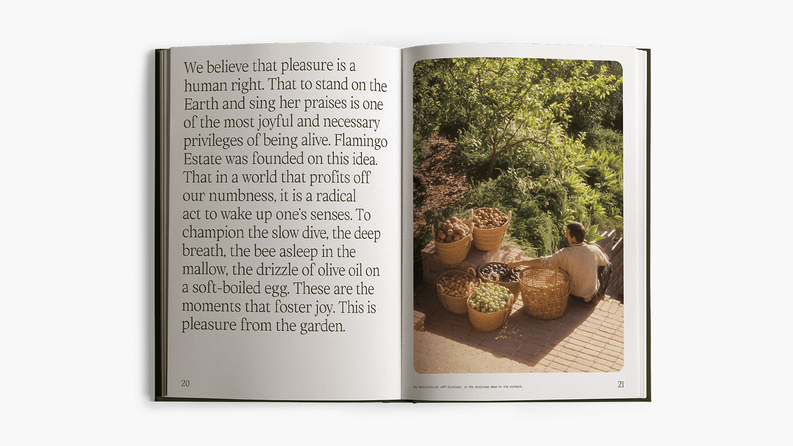 'Fridays From the Garden’ Cookbook: Recipes From LA’s Flamingo Estate