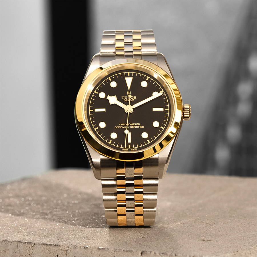 Tudor Black Bay 31/36/39/41 S&G