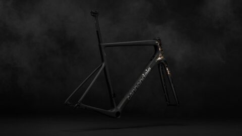 Cannondale SuperSix EVO Leichtbau LTD Frameset