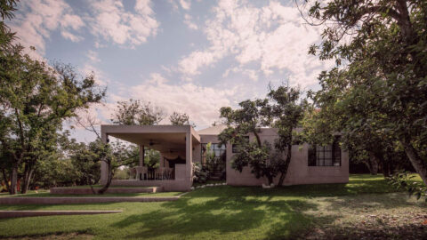 Avocado House by Práctica Arquitectura