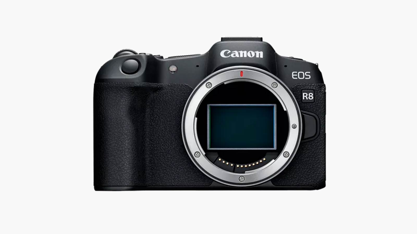 Canon EOS R8 DSLR Camera Proves Smartphones Can't Compete Just Yet ...