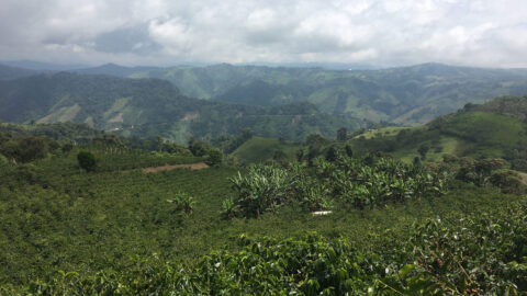 EPA | Ecuador Pichincha Alambi CoffeeEPA | Ecuador Pichincha Alambi Coffee