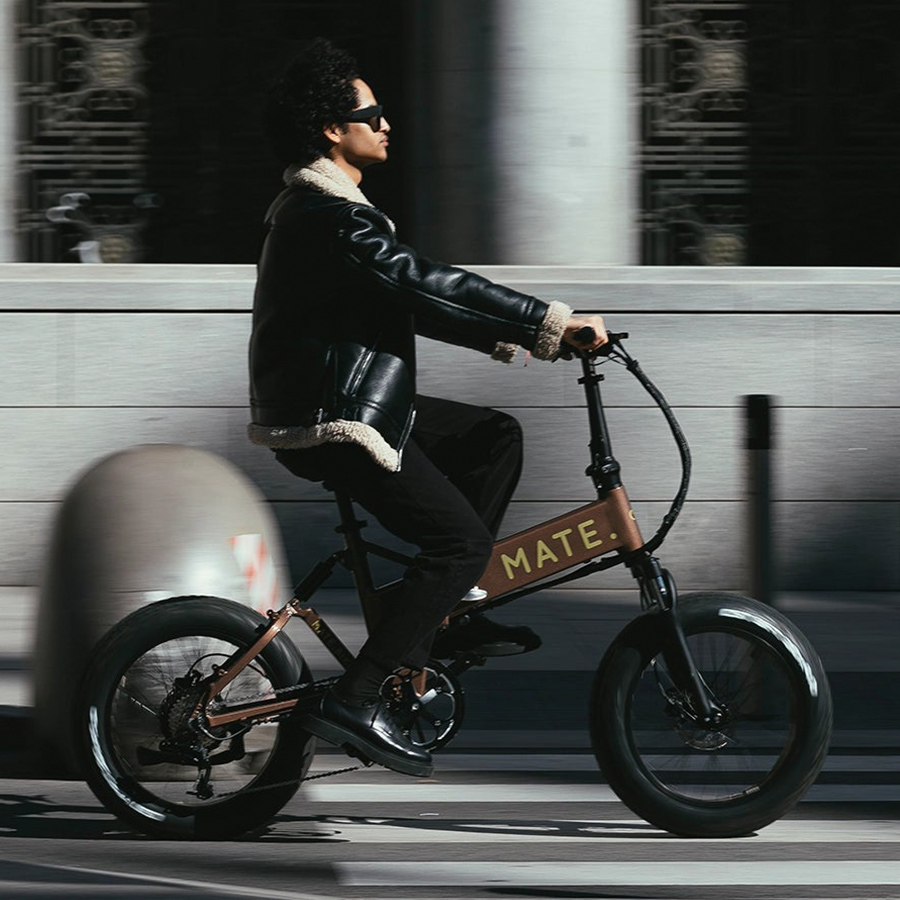 MATE X E-Bike