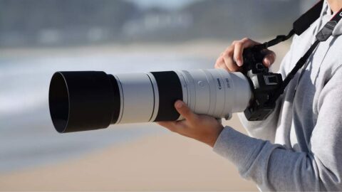 Canon RF200-800mm Super-Telephoto Zoom Lens