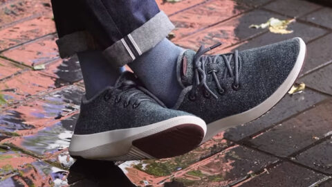 allbirds The Mizzle Collection