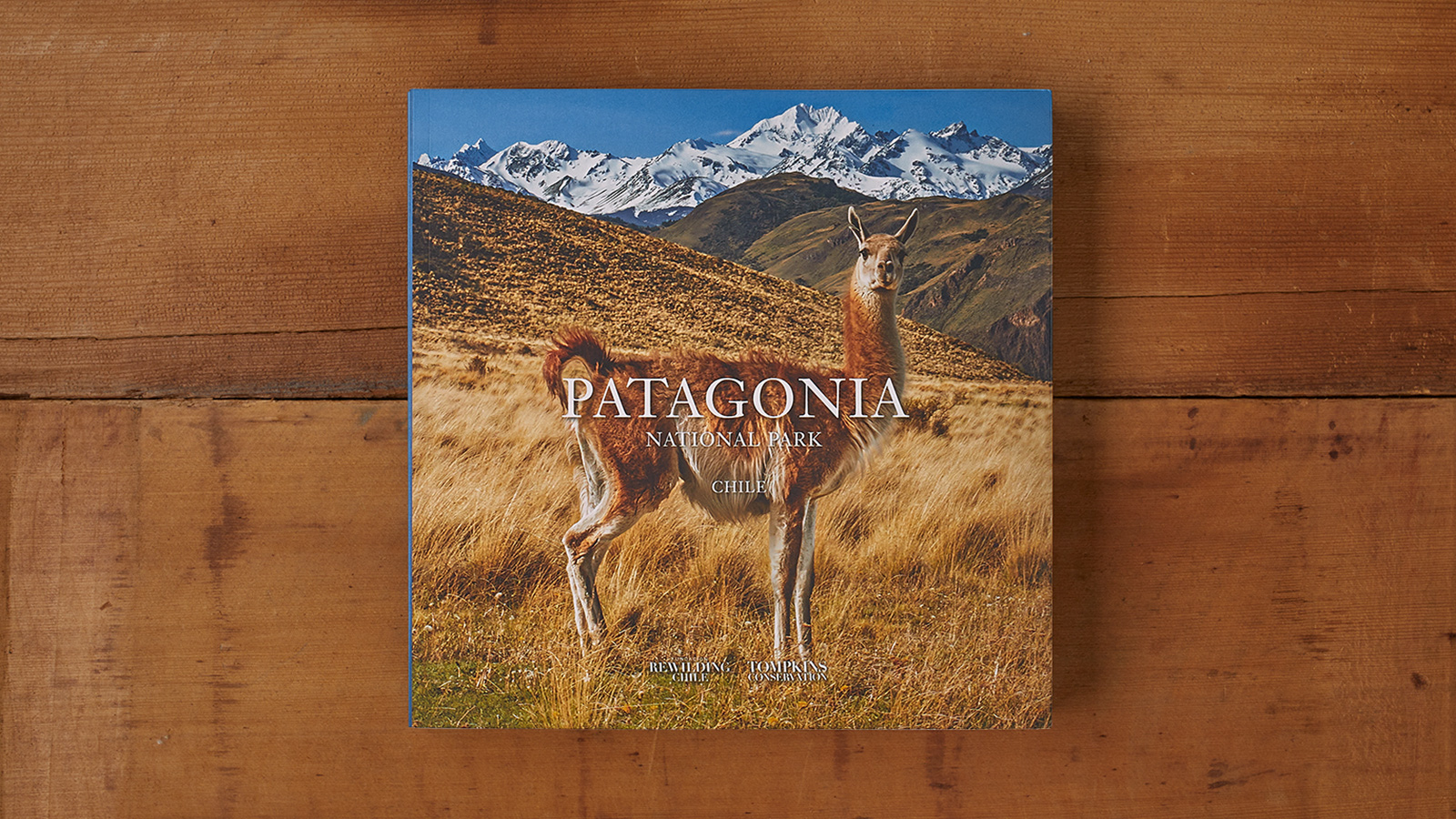 'Patagonia National Park: Chile'