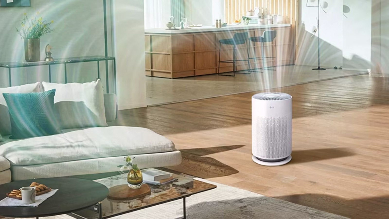 The LG Air Purifier & The Best Alternatives