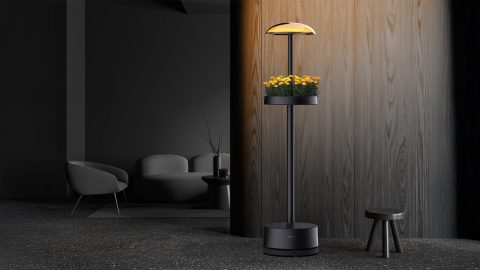 Makeover Any Room Into A Green Oasis With LG’s Indoor Gardening Light