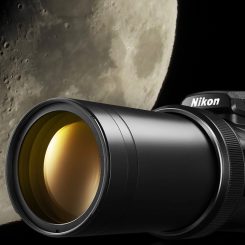 From Landscape To Close-Up, The Nikon COOLPIX P1100 Does It All