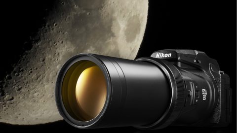 From Landscape To Close-Up, The Nikon COOLPIX P1100 Does It All