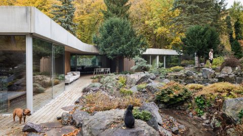 This Home Redefines What It Means To Disconnect