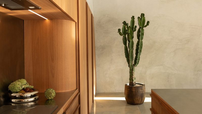 Sculptural concrete dome house in California’s High Desert, designed by Anastasiya Dudik, with curved monolithic exterior, saltwater pool, and minimalist brutalist interior built from concrete, stone, and plaster.