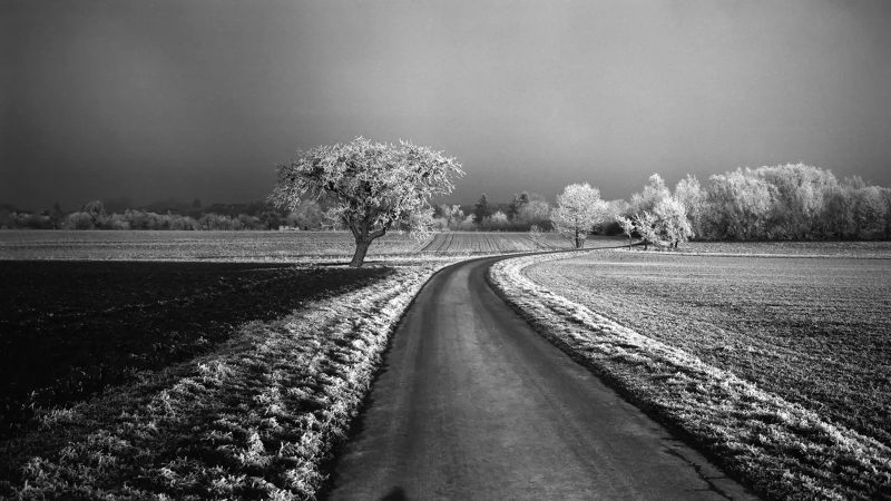 Leica's MONOPAN 50 black and white ISO 50 film emphasizes fine grain quality and professional analog photography aesthetics.