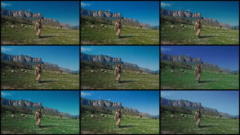 Moment's FilmVision Pro captures an authentic digitized negative-to-print film look with vintage film grain.