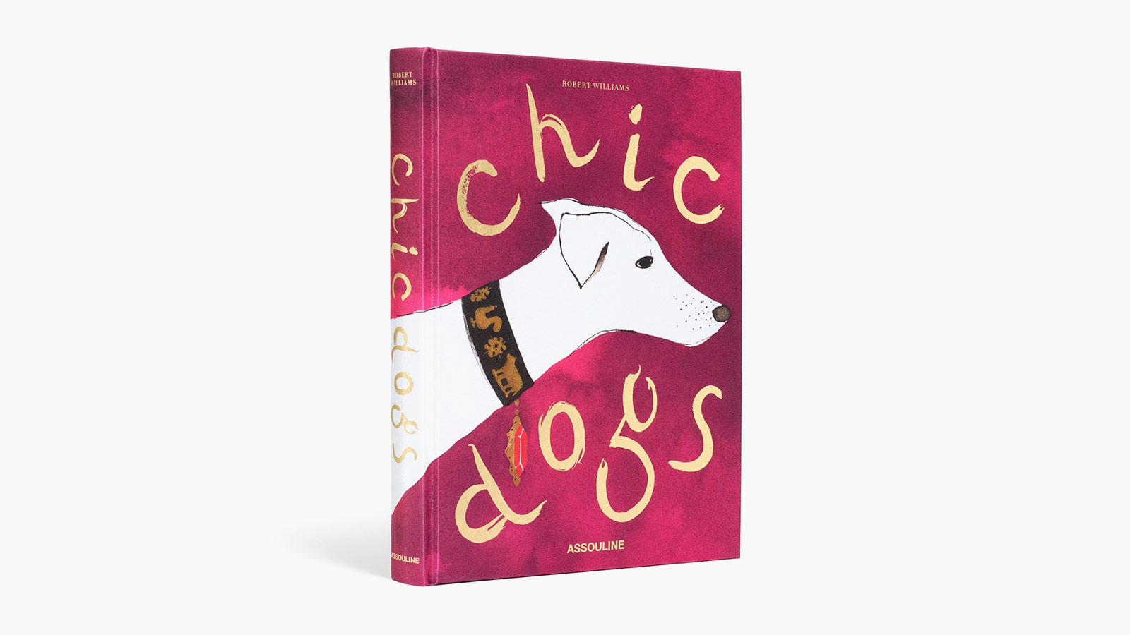 Best Assouline Coffee Table Books for dog lovers and style enthusiasts