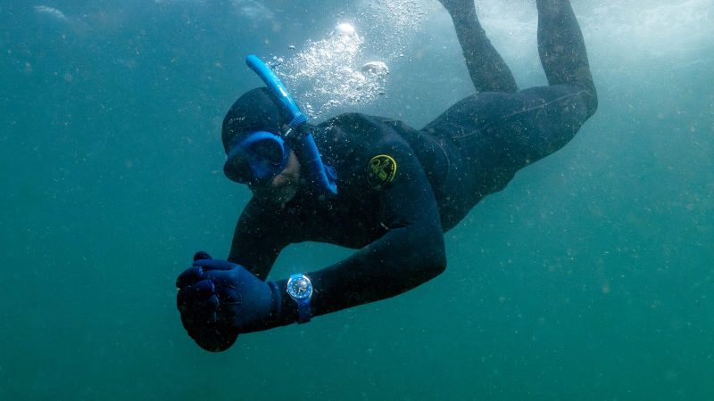 Paulin Mara dive watch with sapphire bezel, vivid dial, and interchangeable straps.