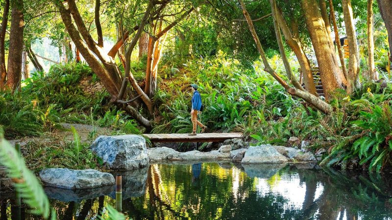 Tu Tu’ Tun Lodge offers views of Oregon’s Rogue River surrounded by forest and wilderness.