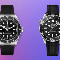 Tudor Black Bay vs. Omega Seamaster: Which Tool Watch Reigns Supreme?