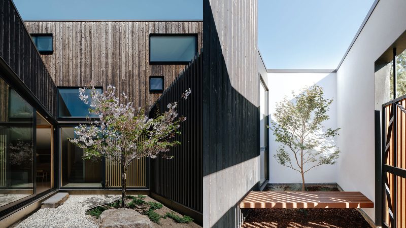 Cupertino Courtyard House exterior by SHED Architecture, featuring white stucco walls and charred-wood upper volume surrounded by lush courtyards.