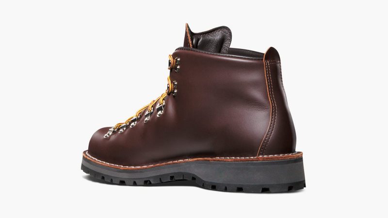 Danner Mountain Light Boots