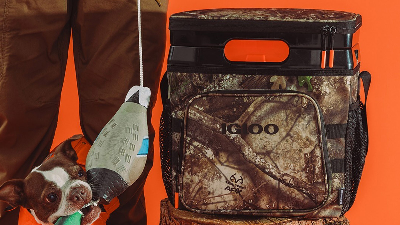 IGLOO Drops The Ultimate Outdoor Companion