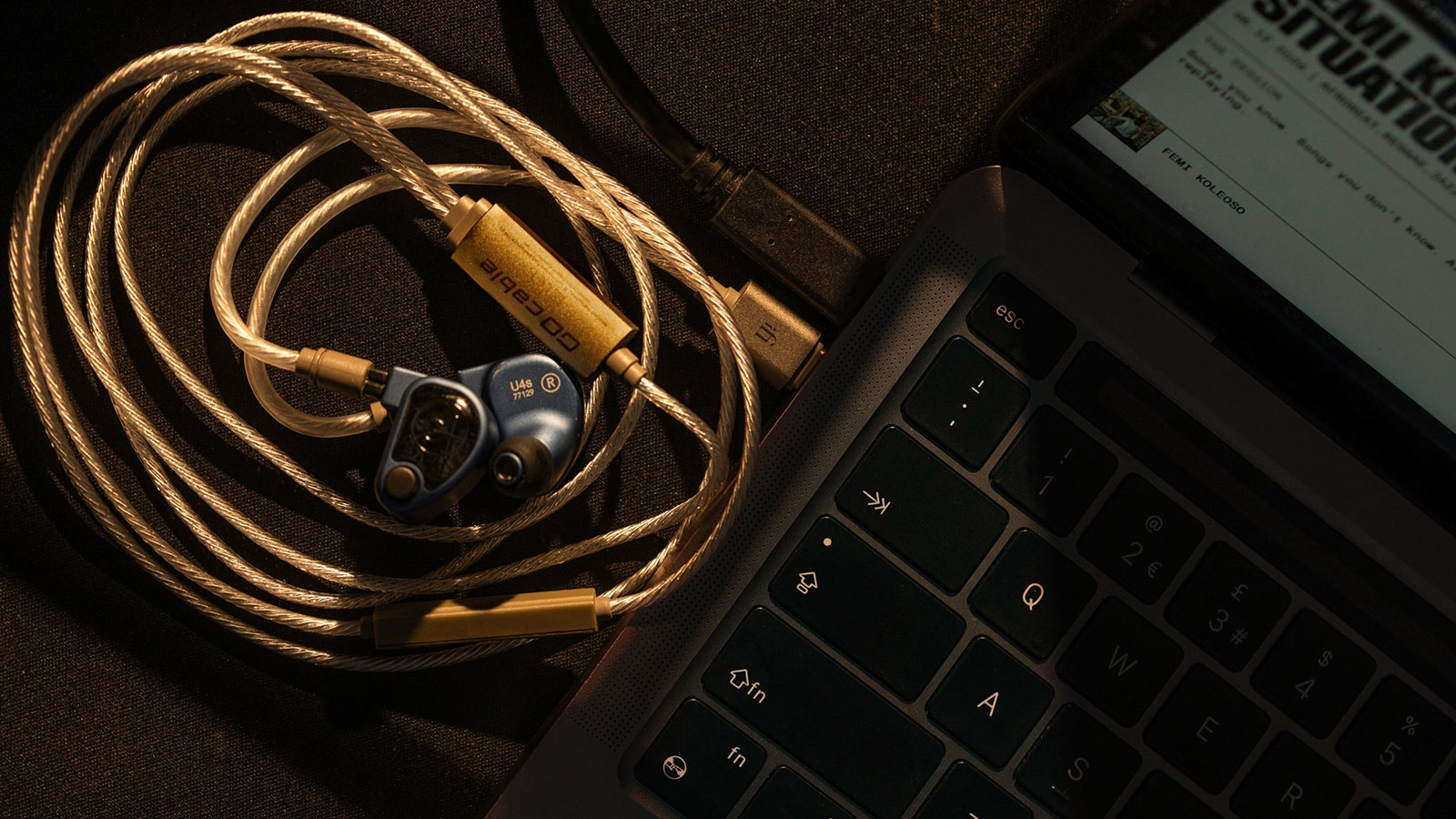 iFi Hides a Hi-Res DAC Inside a USB-C Cable